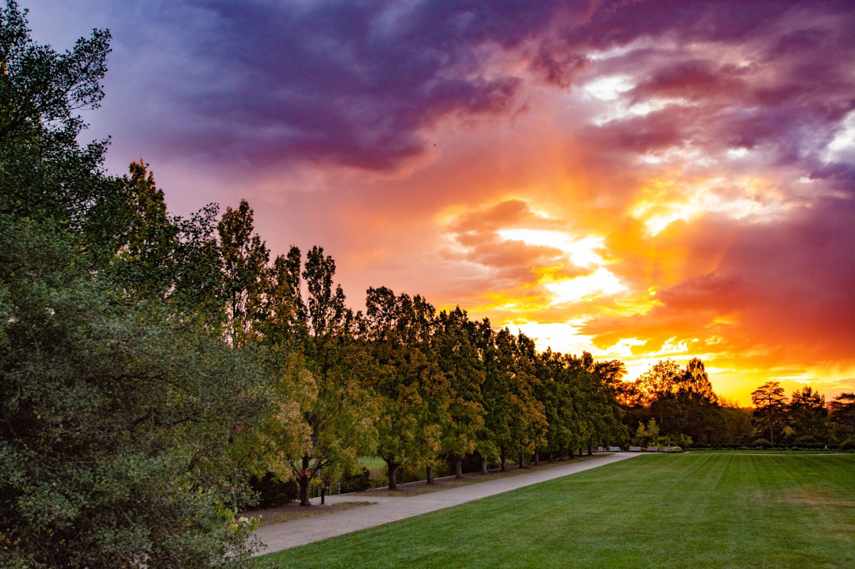 Ault Park